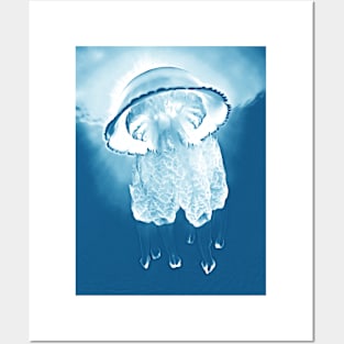 barrel jellyfish Posters and Art